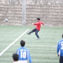 비마