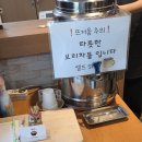 예단김치찌개