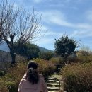 대덕대로167번길 | 숱많은 반곱슬 장발 히피펌 후기 | 두달리뷰 | 대전 히피펌 전문 미용실 뷰티인사이드헤어 후기