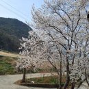 청도강변돌고래펜션 이미지