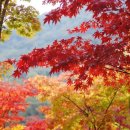 소요산 단풍 축제(단풍 명소, 단풍 산행, 수도권 단풍 명산)