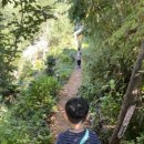 구름뜰농장 네이버블로그