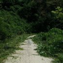 덩쿨농장 이미지