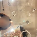 애플타워 앞 | [후쿠오카 여행]파르코 백화점/다이묘 거리/카페 유우/포토존 텐진 애플타워