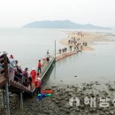 조개체험장  대죽 이미지