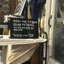백록횟집 | 함덕횟집 백록집 고등어회 맛집 재방문한 솔직후기