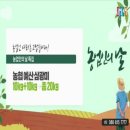 미황