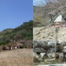 오고집 글램핑 네이버블로그