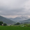 옥천1382 이미지