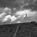 6월의 목장 이미지