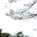 (주)김녕요트투어 이미지