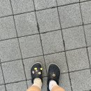 이파리광양 이미지
