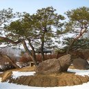머리박사 이미지