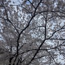 당신은 예쁘지 않고 앞으로도 예쁘지 않을겁니다. 뚜둥~밧트 !그러나! 이미지