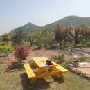 각북면사무소 이미지