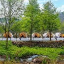 스노우피크 춘천 이미지