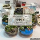 이끼다움