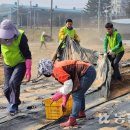 금만농장 농민신문
