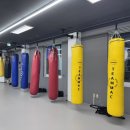 팀맥 스타짐 이미지