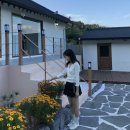 Mellow(멜로우) | [베르니 Verni] 멜로우 랩 니트 (Mellow Wrap Knit) 후기