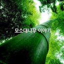 판매왕 치과기공소 이미지