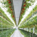 농업회사법인 ㈜그린 이미지