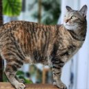 우림부동산중개 이미지