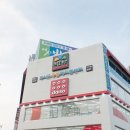 제일동물진단영상센터 | 동물 건강검진, 미리 발견하는 것이 제일 중요한 이유