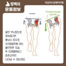 잠백이 이미지