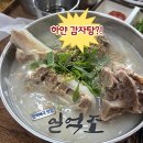 일억조 | [제주도 맛집] 아침에 먹기좋은 접짝뼈국 한림 맛집 일억조 내돈내산 솔직 후기!!+ 주차정보