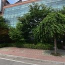 제천세탁소 티스토리