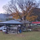 갬발 | <느티나무집펜션> 보령의 숨은 힐링스팟, 가족이 함께 쉼표 찍기 좋은 곳:)!!