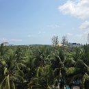 비치 | [내돈내산] 푸꾸옥 빈펄리조트 사파리뷰 후기｜수영장·프라이빗 비치 솔직 후기