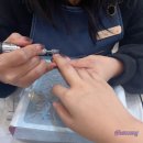 (유)길인테리어 | 상현역 네일 추천! 유블링네일 이달의아트 크롬하츠 네일 후기