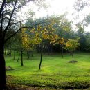 정읍산외한우 Daum카페