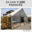 나로힐링캠핑장 | [태안여행] 5세 아이랑 서해바다 갈만한 곳 &#39;학암포해수욕장&#39; 첫 글램핑 도전 나로캠핑장 이용후기
