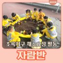 초록유치원 | 광명시 하안동 광은유치원 안양식품안전체험관 체험 후기, 자람반 초록지구 활동