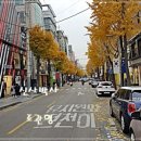 신사동-1 이미지