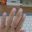 내자인주