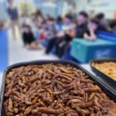 대성태권도 자이점 이미지