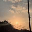 우면산3-34 이미지