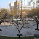 대불스포츠클럽 체육시설 이미지