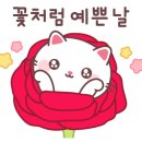 우정피앤피 네이버블로그