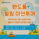 [완도] 완전 럭키비키 완도&amp;보길도 여행이잖아! 🍀 (완도풀 힐링미션투어, 완도 여행경비 지원)