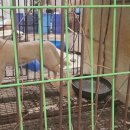 울림농장 이미지