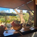 사(SA) | 스페인 마요르카 숙소 추천 | Finca Sa Canova Agroturismo 핀카사 카노바 아그로투리스모