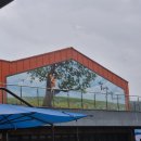 전주 새솔유치원 이미지