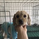 사동지구대 이미지