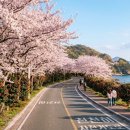 월영동북로-2 이미지