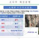 소나무병원 이미지